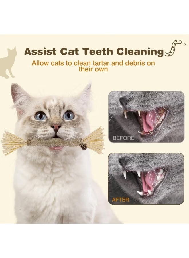 4 Pack Silvervine Sticks for Cats - Cat Chew Toy for Teeth Cleaning, Edible Matatabi Kitty Chew Sticks, Catnip Cat Toys for Indoor Cats (4 Sticks) - Image 5